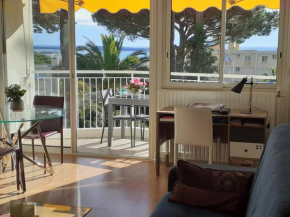 SPACIEUX STUDIO 37m2 - Terrasse VUE MER